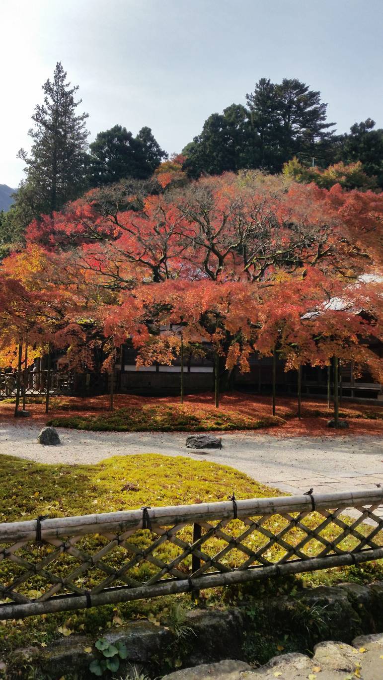 雷山観音