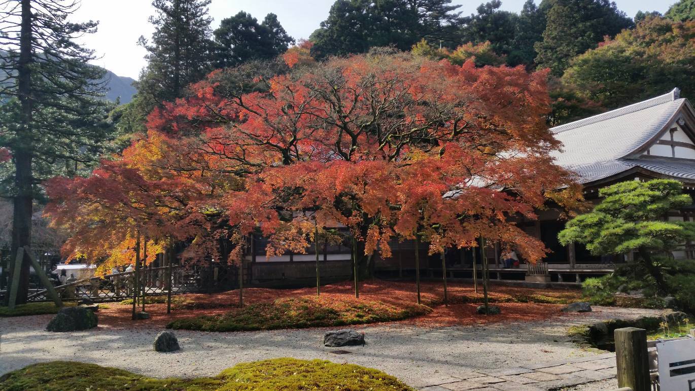 雷山観音